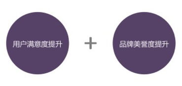互联网产品商业化包装与信息技术咨询策略